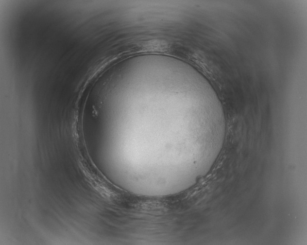 X0000075410146200609081320
