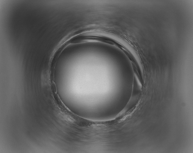X0000075410150200609081320