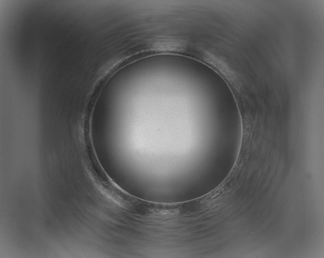 X0000075410155200609081320