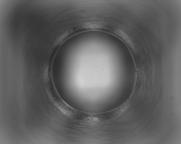 X0000075410159200609081320