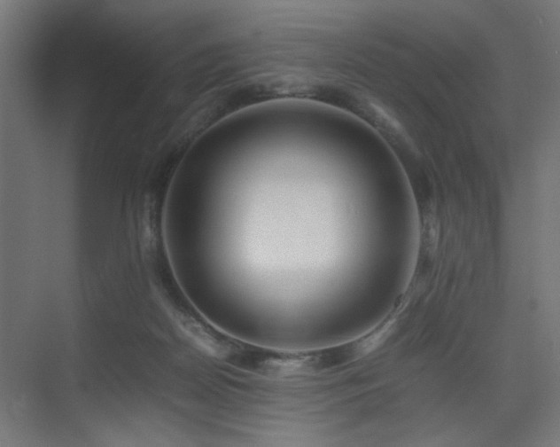 X0000075410170200609081320