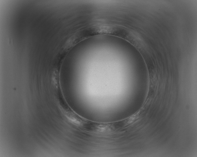 X0000075410175200609081320