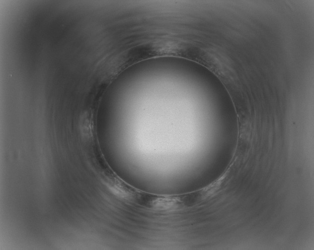 X0000075410179200609081321