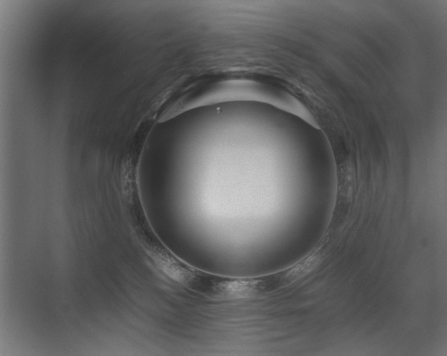 X0000075410184200609081321