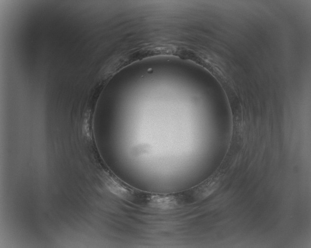X0000075410185200609081321