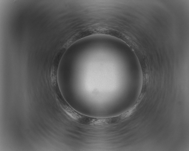 X0000075410186200609081321