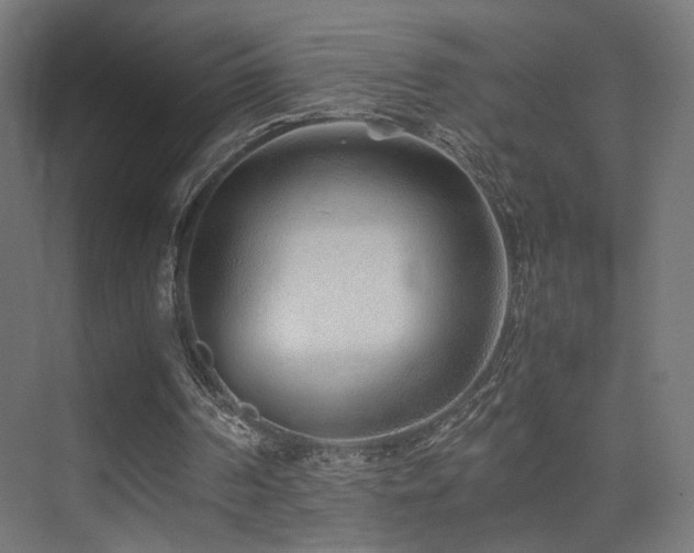 X0000075410194200609081320