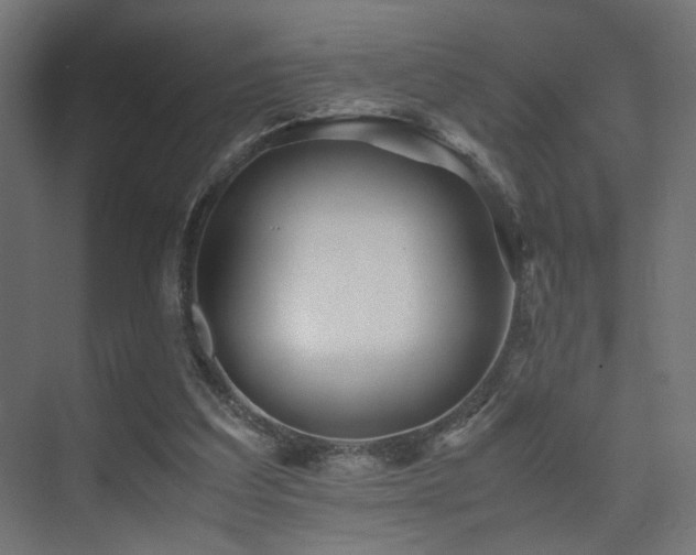 X0000075410203200609081320