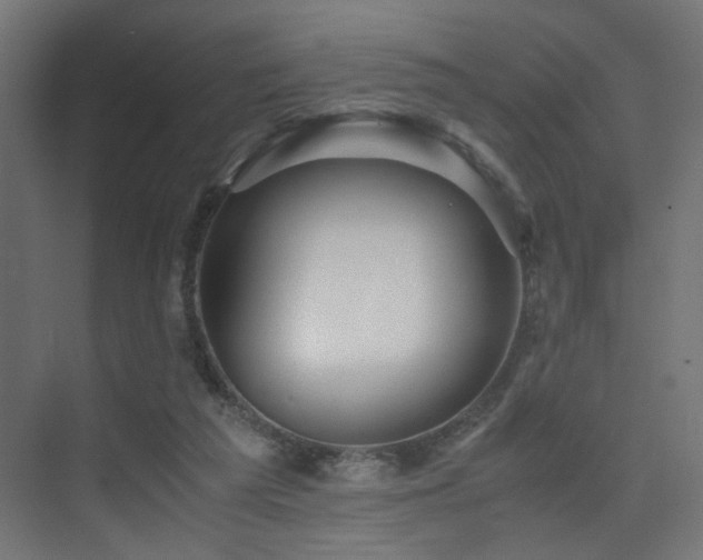 X0000075410209200609081320