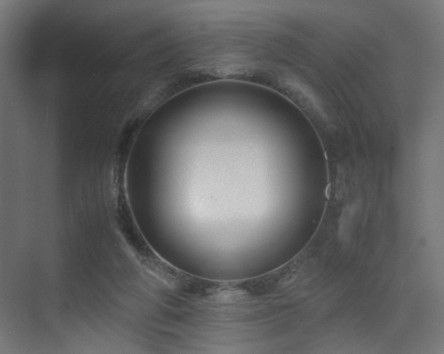 X0000075410210200609081320