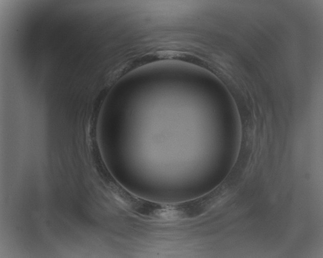 X0000075410219200609081320