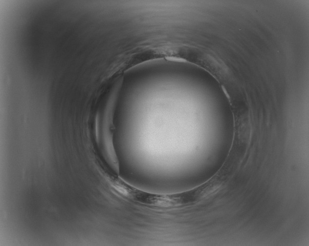 X0000075410229200609081319