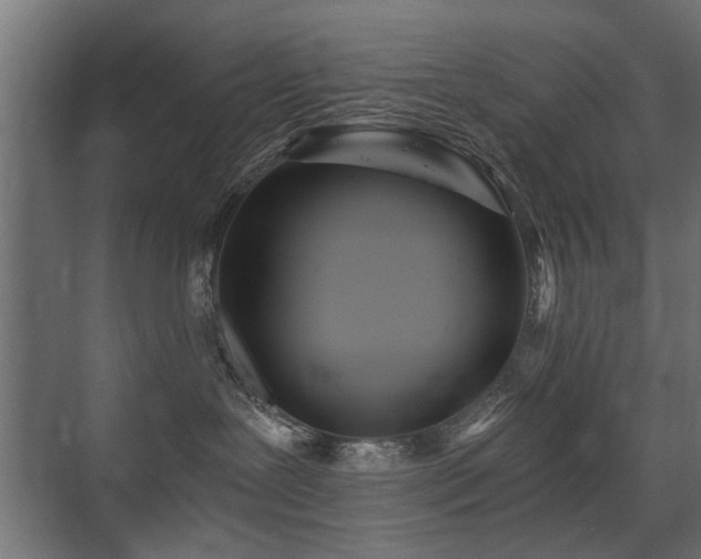 X0000075410239200609081319
