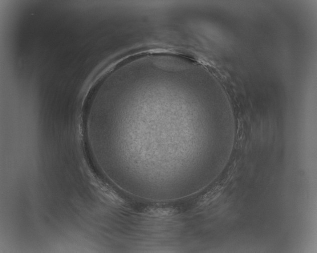 X0000075410247200609081318