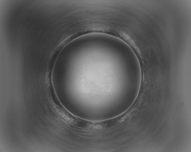 X0000075410249200609081318