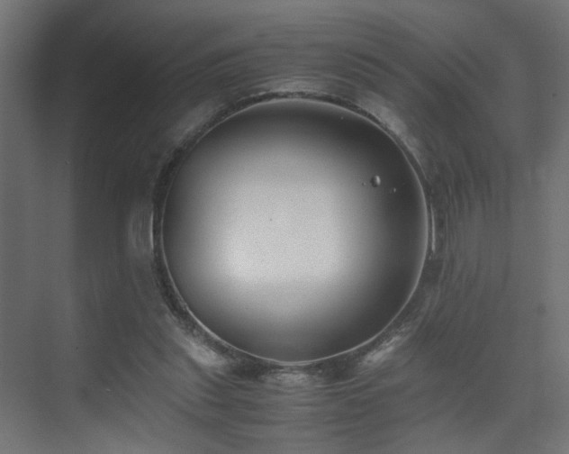 X0000075410253200609081319