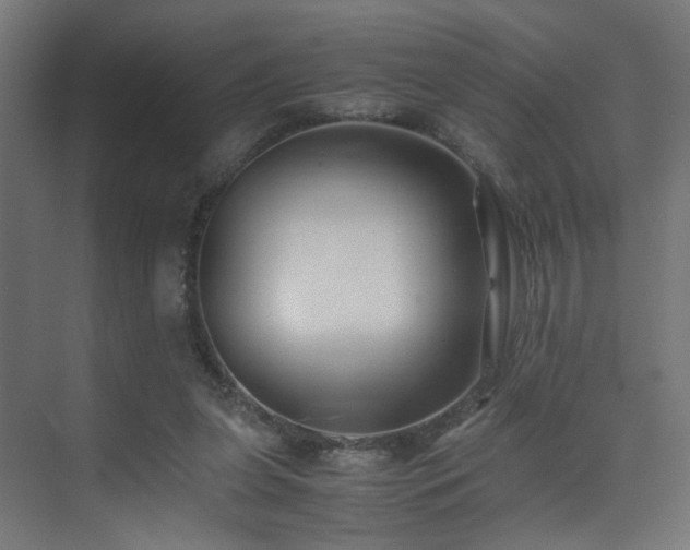 X0000075410255200609081319