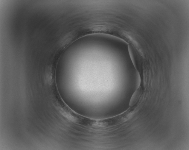 X0000075410261200609081319