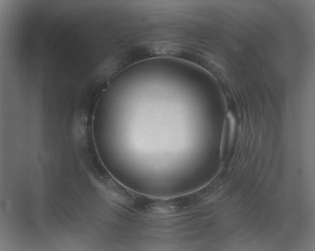 X0000075410263200609081319