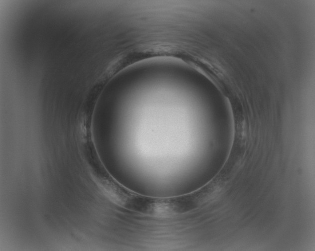 X0000075410264200609081319