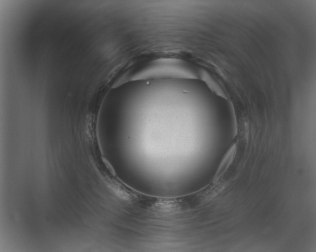X0000075410280200609081319