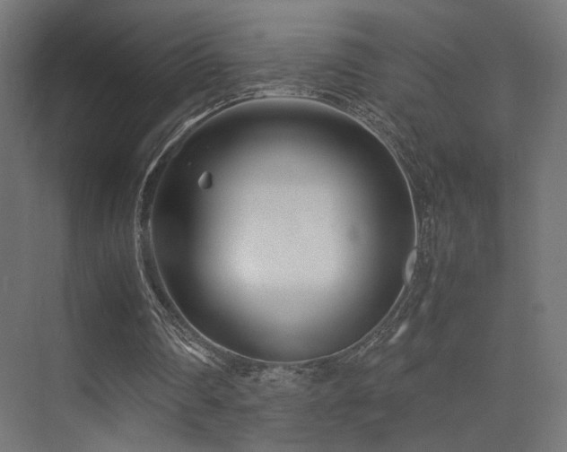 X0000075410290200609081318