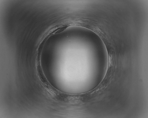 X0000075410291200609081318