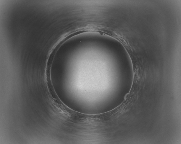 X0000075410292200609081318