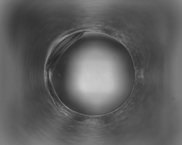 X0000075410294200609081318
