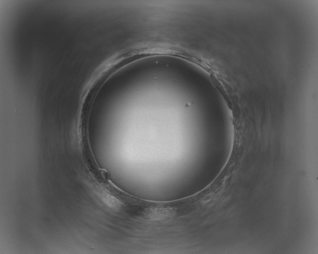 X0000075410296200609081318