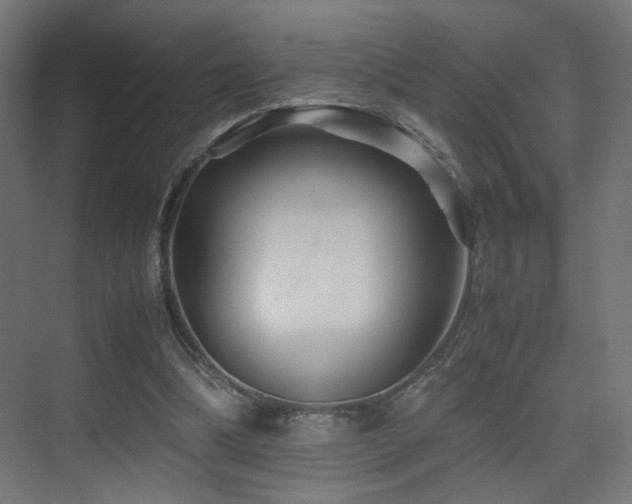 X0000075410298200609081318