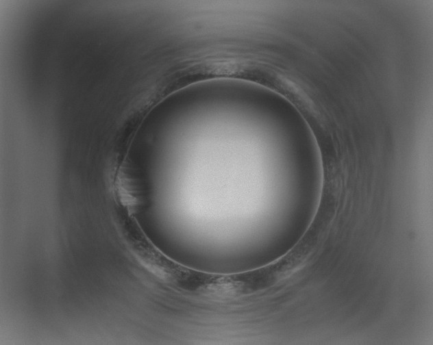 X0000075410307200609081318