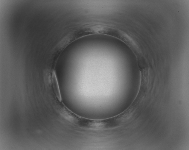 X0000075410313200609081318