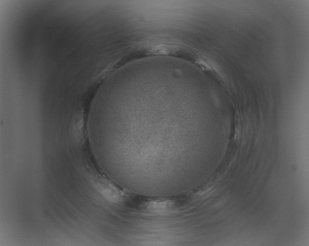 X0000075410314200609081318