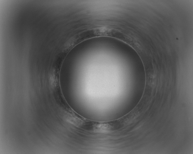 X0000075410324200609081318