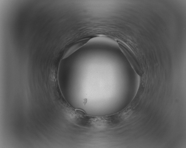 X0000075410331200609081318
