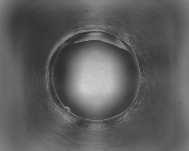 X0000075410342200609081317