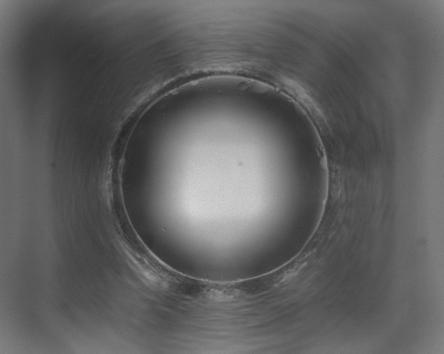 X0000075410346200609081317