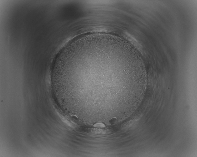 X0000075410347200609081317
