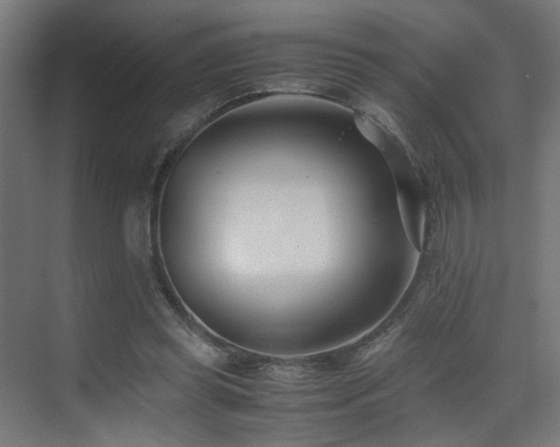 X0000075410349200609081317