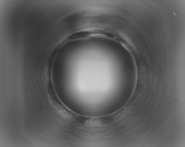 X0000075410354200609081317