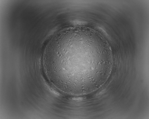 X0000075410357200609081317