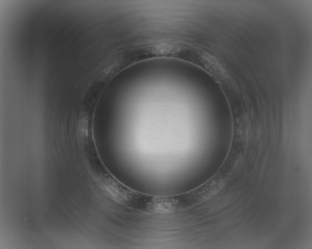 X0000075410368200609081317