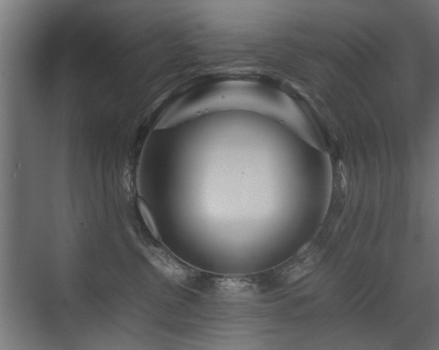 X0000075410380200609081317