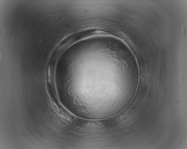 X0000075410386200609081317