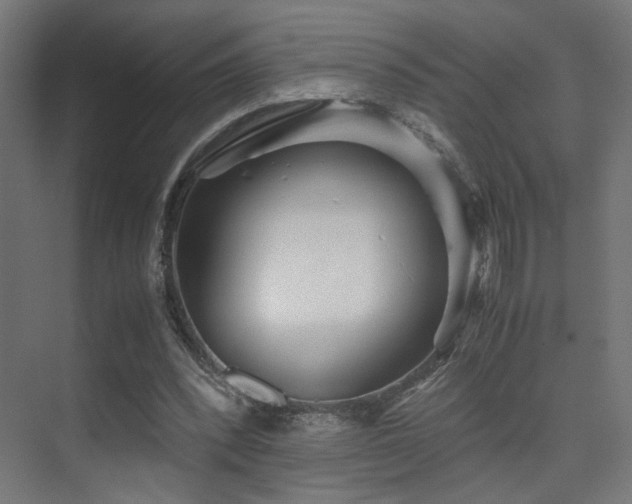 X0000075410392200609081317