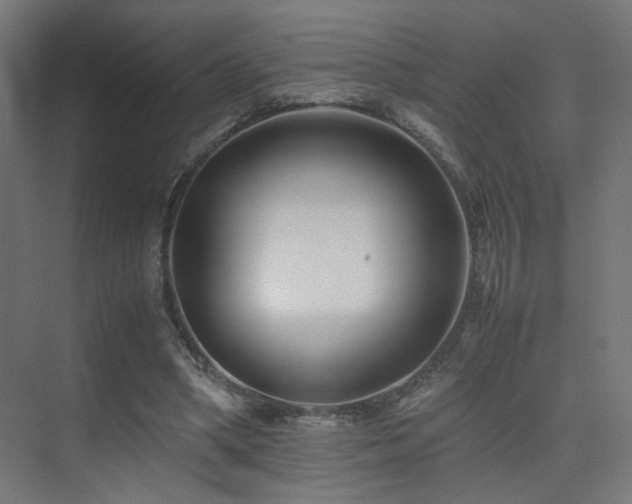 X0000075410394200609081317