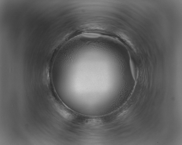 X0000075410398200609081316