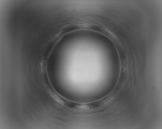 X0000075410409200609081316