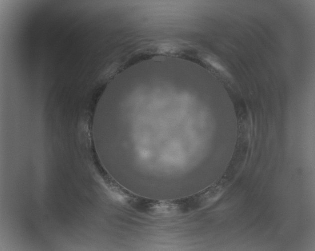 X0000075410415200609081316